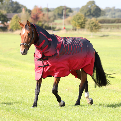 Shires Tempest Original 200 Turnout Combo Rug (RRP Â£95.99)